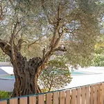 Bright - Ac - 2br-4p - Gassin Saint-Tropez
